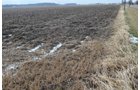 Property photo 2 - East Allen County Land Auction - 40 Acres in 2 Tracts